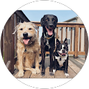 Laura profile picture